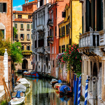 Le e organici sempre mutevoli colori e forme di Venezia