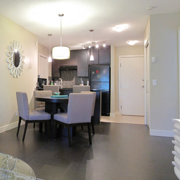 Lincoln Park Small Condo Design