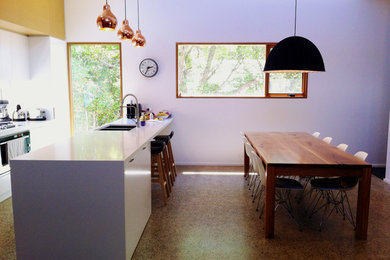 Foto de comedor de cocina actual grande con paredes púrpuras y suelo de cemento