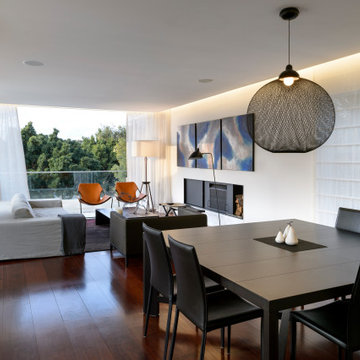 Living/Dining