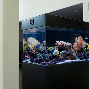 Room Dividing Charmer - 180g Free Standing Aquarium
