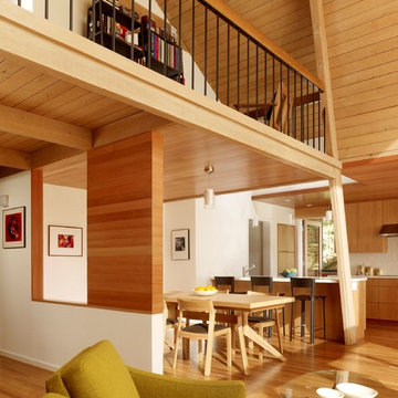 Manzanita Drive Addition & Remodel