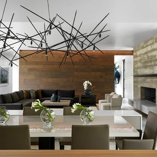 Foto di una sala da pranzo aperta verso il soggiorno design di medie dimensioni con pareti bianche, pavimento in cemento, camino classico, cornice del camino in cemento e pavimento grigio