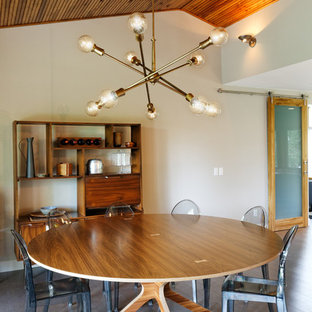 Mid Centrury Modern Kitchen + Master Bath
