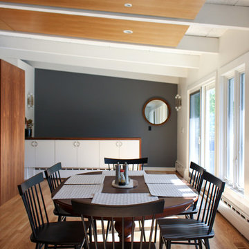 Mid-Century Modern Interior Renovation