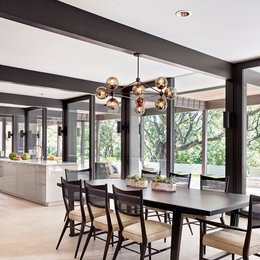 https://www.houzz.com/photos/mid-century-modern-remodel-addition-contemporary-dining-room-austin-phvw-vp~53167468