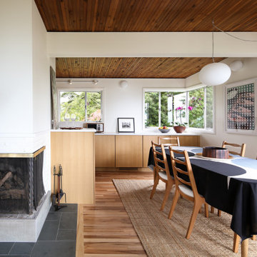 Mid Century Modern Remodel