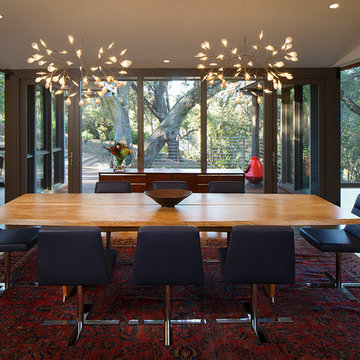 Mid-Century Remodel