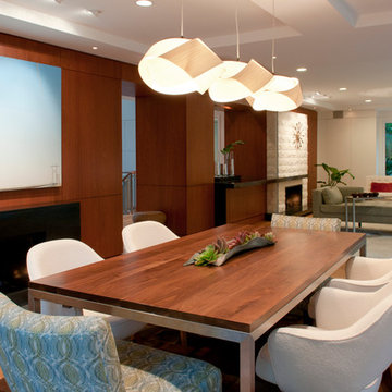 Mid Century remodel