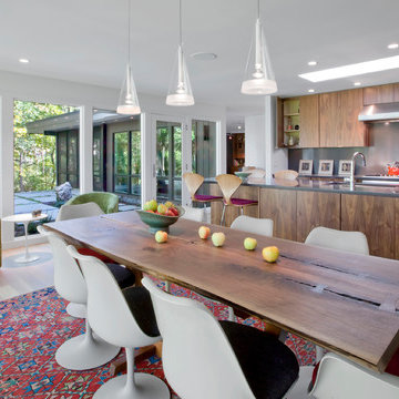 Midcentury Modern 2