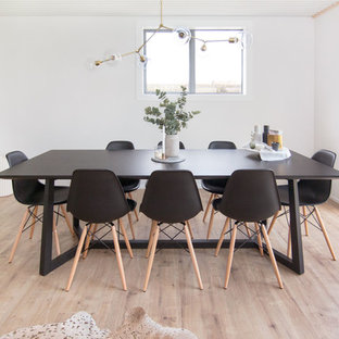 Midcentury Scandi Home