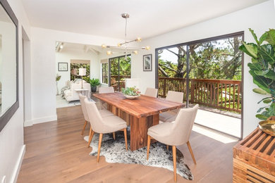 Modelo de comedor actual de tamaño medio cerrado sin chimenea con paredes blancas, suelo de madera en tonos medios y suelo marrón