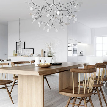 Modern Dining Room Design with Moooi Heracleum Lamp from Stardust