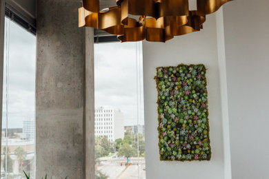 Modern Dining Room with Custom Succulent Wall