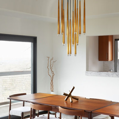 Dining room - contemporary dark wood floor dining room idea in Nashville with white walls and no fireplace