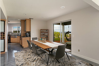 Kitchen/dining room combo - mid-sized modern concrete floor and gray floor kitchen/dining room combo idea in San Diego with gray walls and no fireplace
