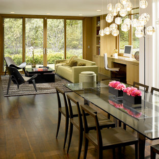 Modern Renovation - Highland Park, IL