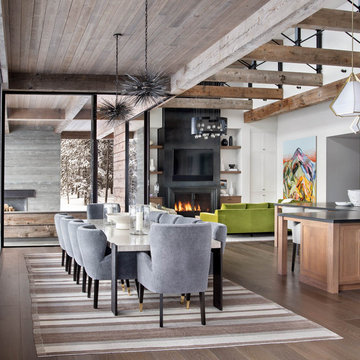Modern Ski Home