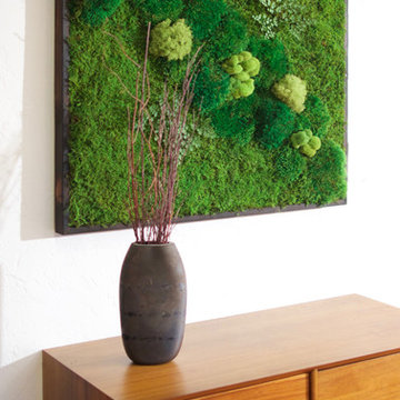 Moss wall, vertical plant garden art