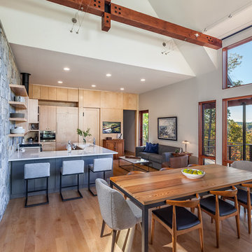 Mountain Modern
