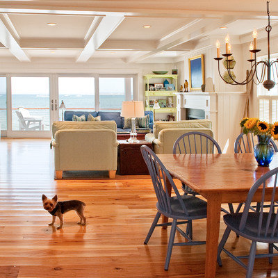 Beach style medium tone wood floor dining room photo in Boston with white walls