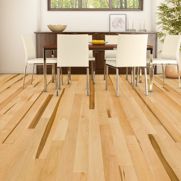 Natural Hard Maple Essential - Dining Room