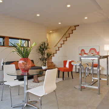 Net-Zero Laneway House