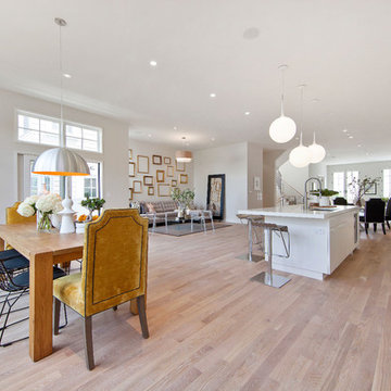 New Cow Hollow Family House