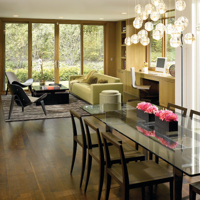 Dining room - contemporary dark wood floor dining room idea in Chicago