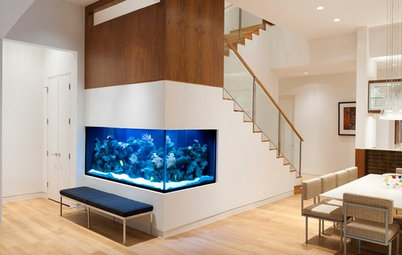 Ask a Designer: Can I Have an Aquarium in My Home?