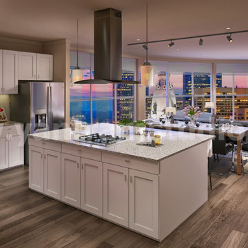 fabulous idea of Open Kitchen - Living & Dinning room