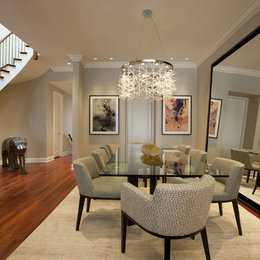 https://www.houzz.com/photos/orchard-dining-room-a-contemporary-dining-room-chicago-phvw-vp~213933