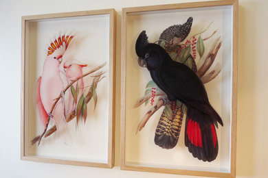 pair of signarture cockatoo 3D framed fine art prints