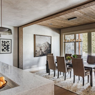 Idee per una sala da pranzo stile rurale con pareti grigie, pavimento marrone e pavimento in legno massello medio