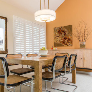 San Mateo Contemporary Condo