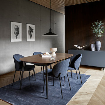 Scandinavian Designer Dining Chairs
