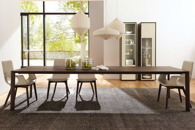 Inspiration for a modern dining room remodel in Miami