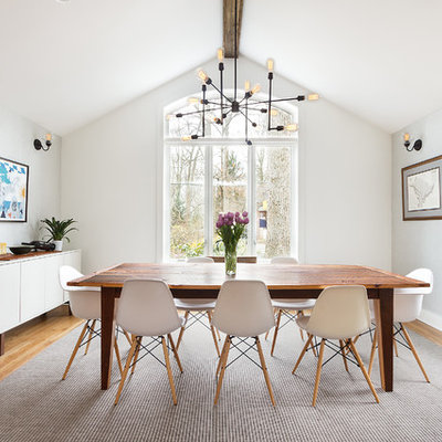 Inspiration for a contemporary medium tone wood floor dining room remodel in DC Metro with white walls and no fireplace