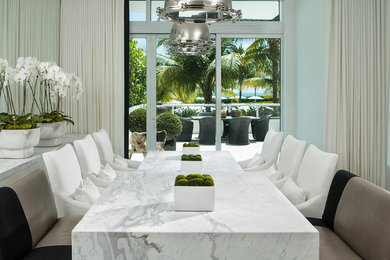 Foto di una grande sala da pranzo aperta verso il soggiorno design con pareti bianche e parquet scuro