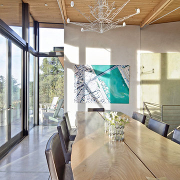 Stinson Beach House