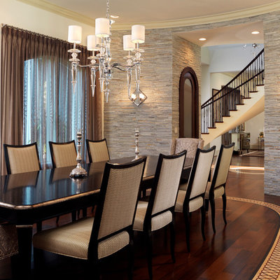Trendy dark wood floor dining room photo in Tampa