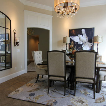 Transitional Elegance Living  Room