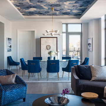 Upper East Side Penthouse