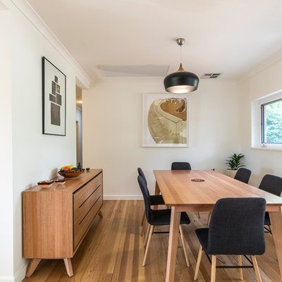 Mid-sized trendy medium tone wood floor and brown floor enclosed dining room photo in Canberra - Queanbeyan with white walls