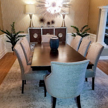 Whole House Remodel, Palatine IL