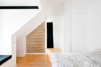 Diseño de dormitorio principal moderno grande con paredes blancas, suelo de madera en tonos medios, suelo beige y casetón