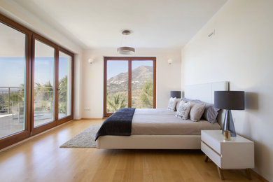 Foto de dormitorio principal minimalista grande con paredes beige y suelo de madera en tonos medios