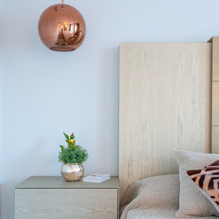 Modelo de dormitorio principal, moderno, de tamaño medio, con paredes grises