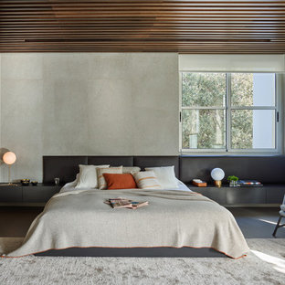 Ejemplo de dormitorio principal, contemporáneo, con paredes grises