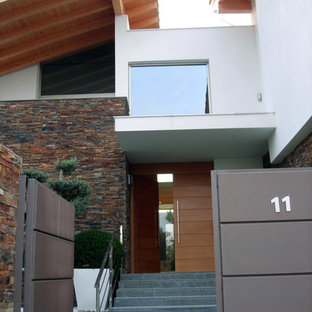 Ispirazione per una porta d'ingresso design di medie dimensioni con una porta singola e una porta marrone
